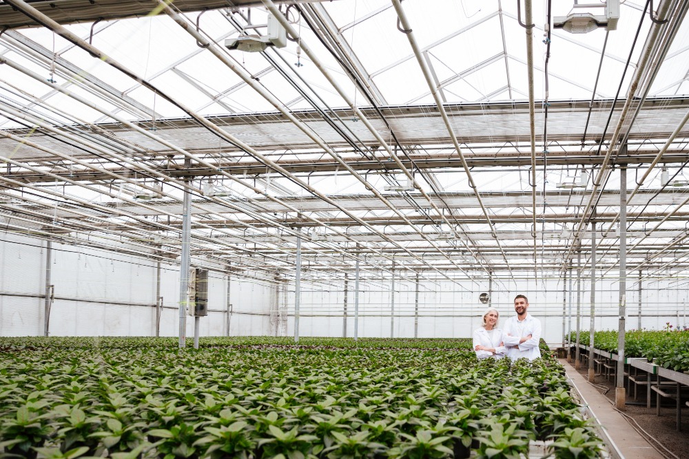 Peb for pharma plants